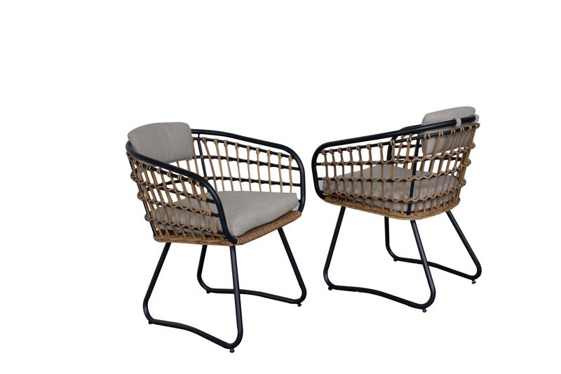 Outdoor Wicker Dining Chairs Set of 2 with Cushions by HouseOfZazla