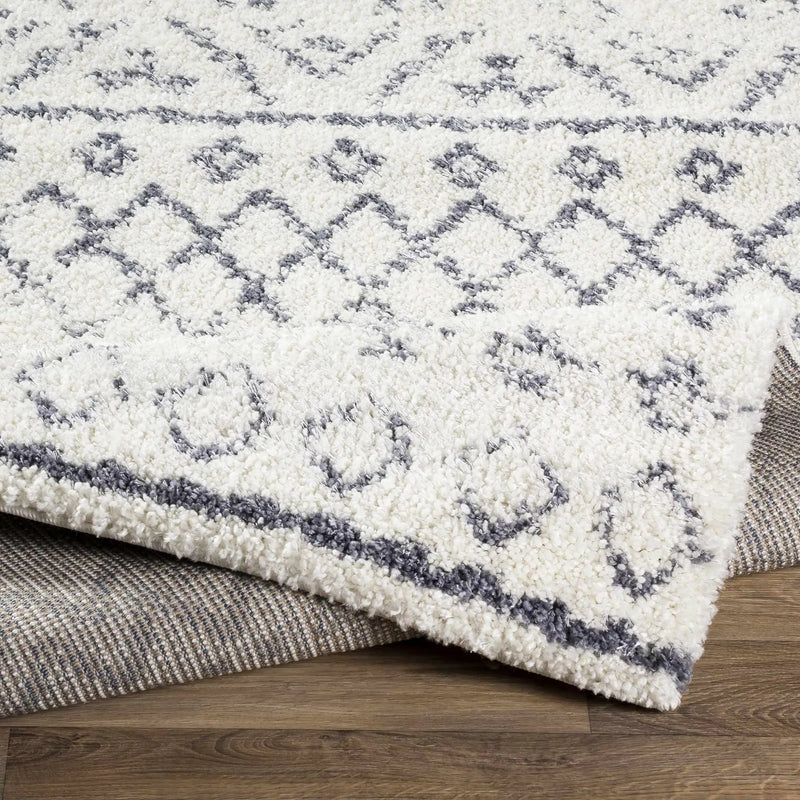 Benezett Area Rug - Clearance by Boutique Rugs