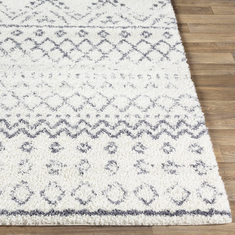 Benezett Area Rug - Clearance by Boutique Rugs