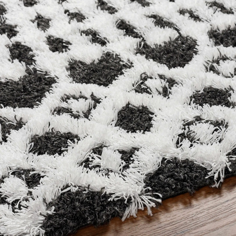 Bente Shag Area Rug by Boutique Rugs