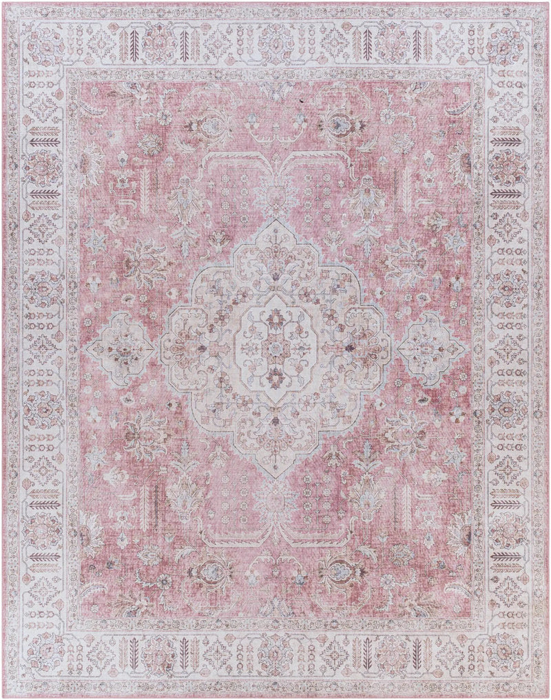 Bergman Distressed Red Area Rug by Boutique Rugs