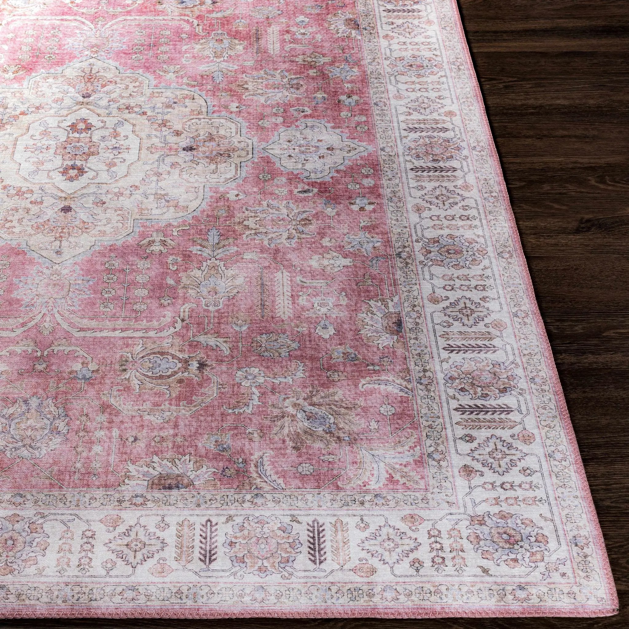 Bergman Distressed Red Area Rug by Boutique Rugs