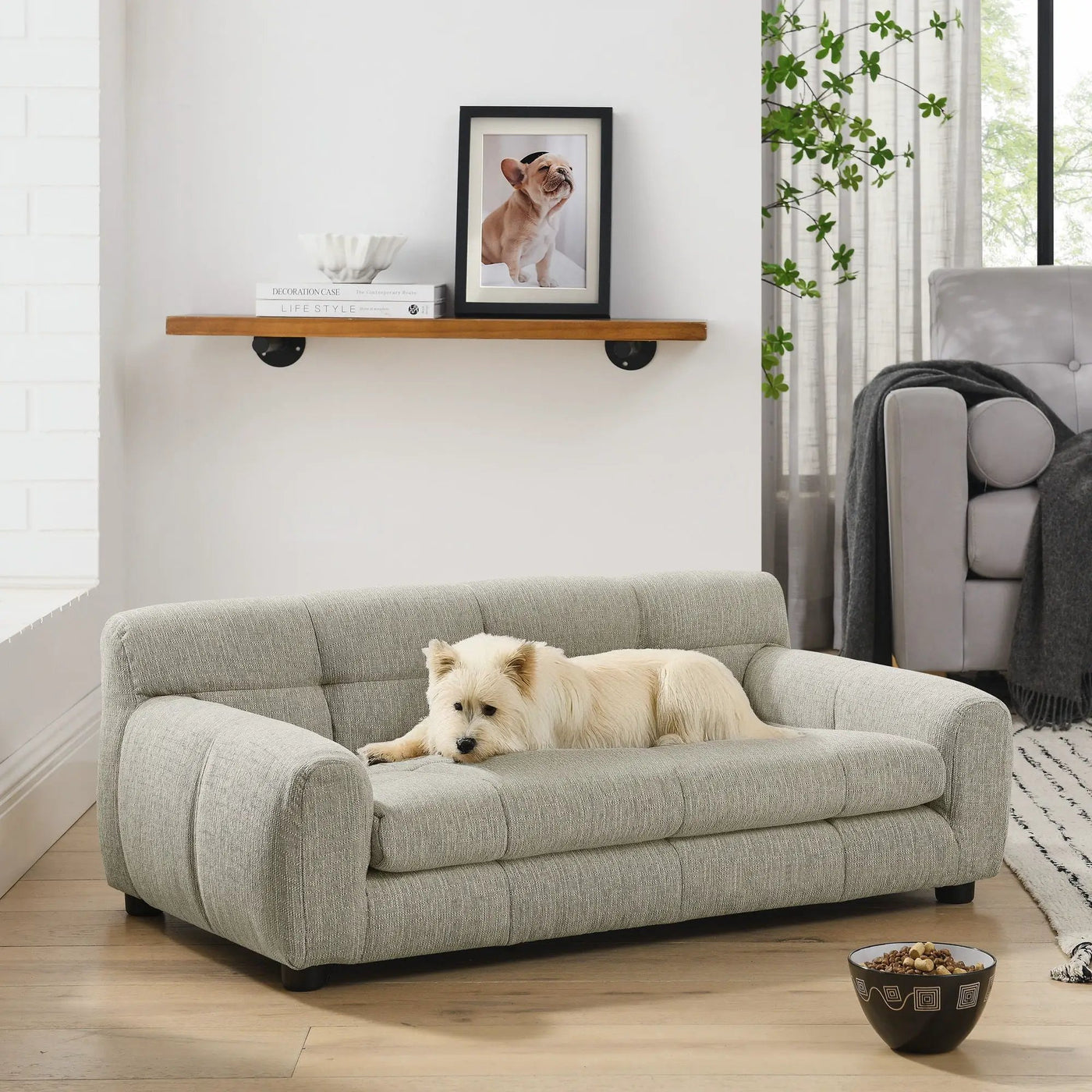 Modern Pet Sofa With Backrest And Armrests by HouseOfZazla