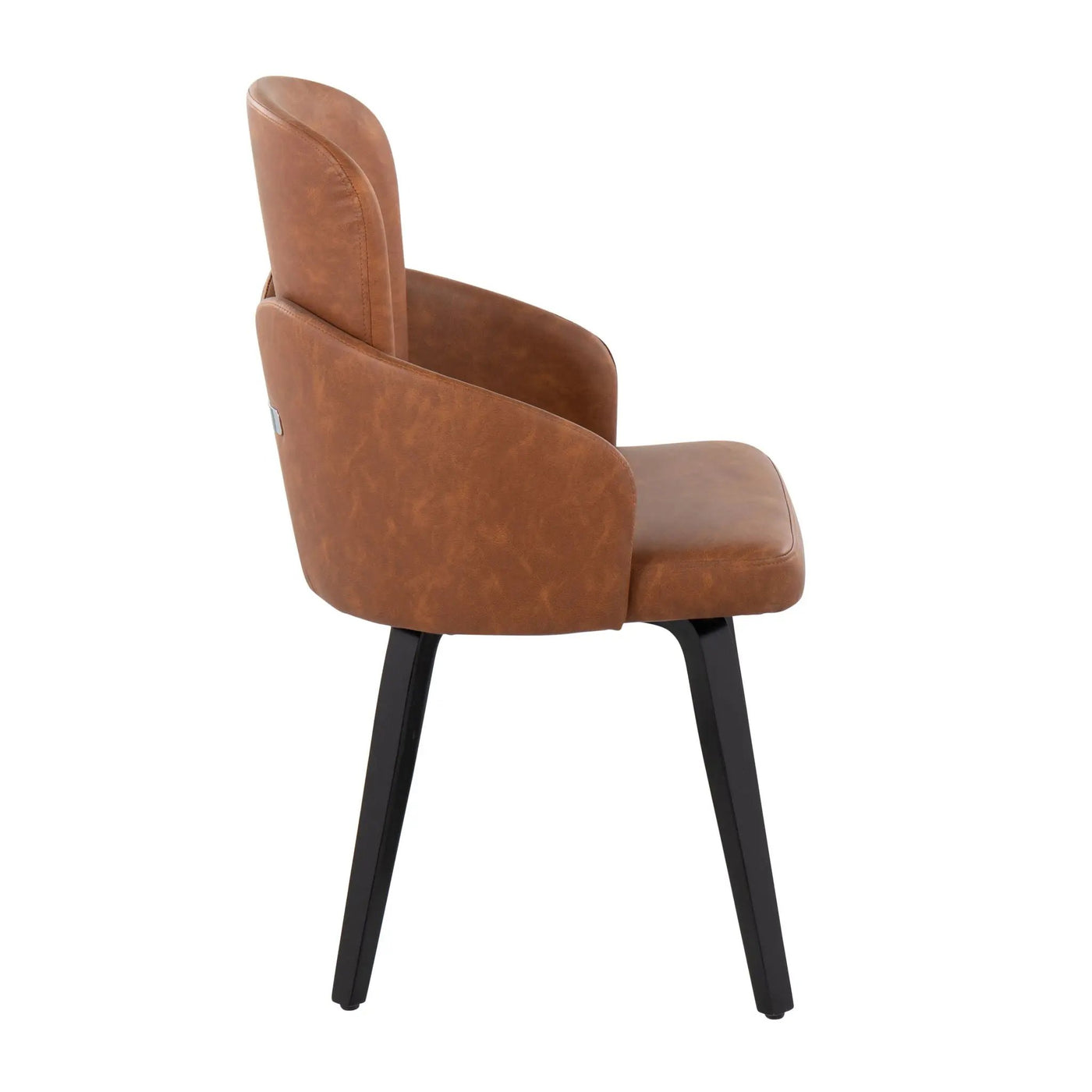 Dahlia - Contemporary Elegant Dining Chair (Set of 2) by HouseOfZazla