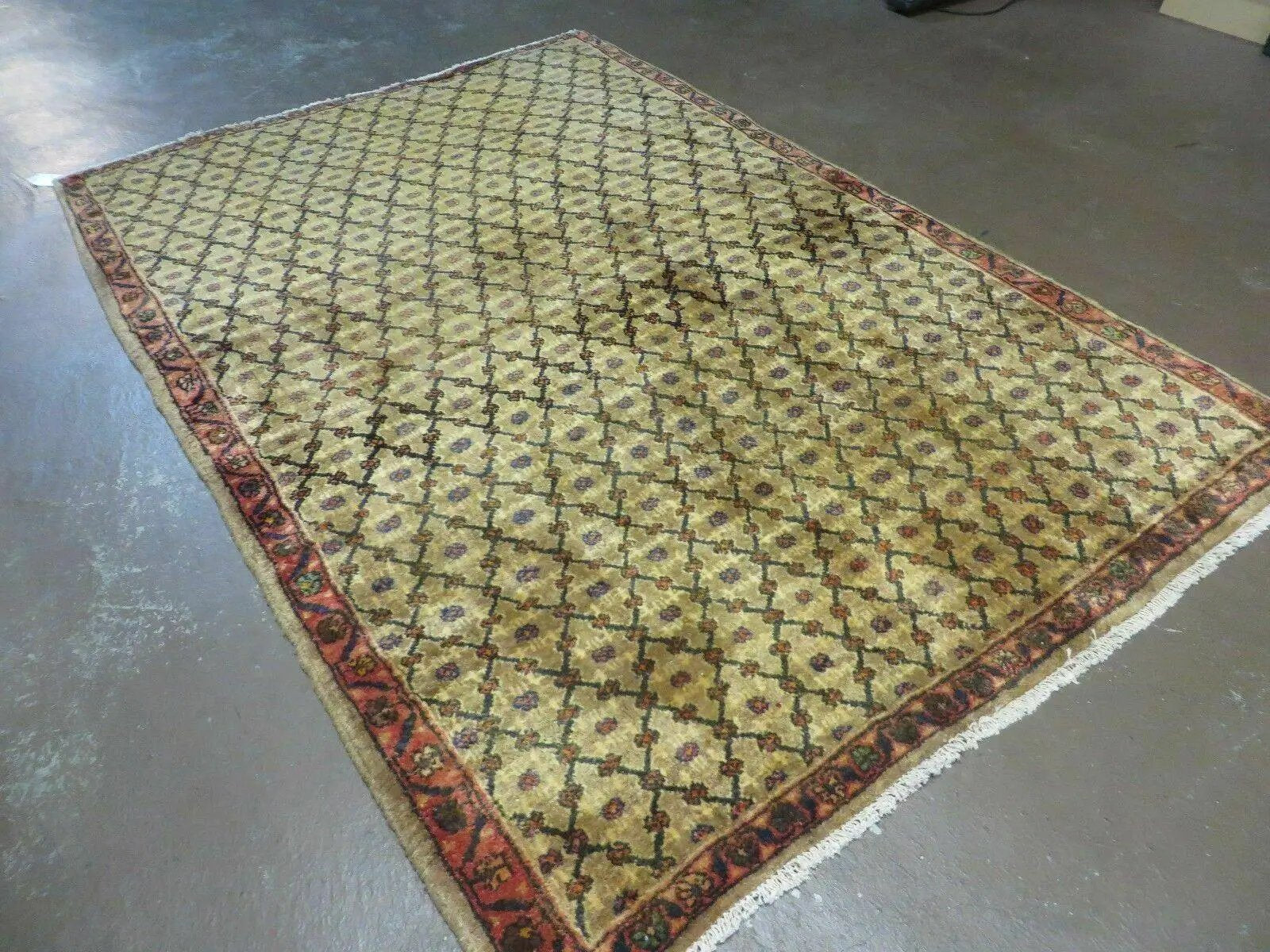 4' X 6' Handmade Indian Allover Wool Rug Camel Hair Color #119 by Jewel Rugs
