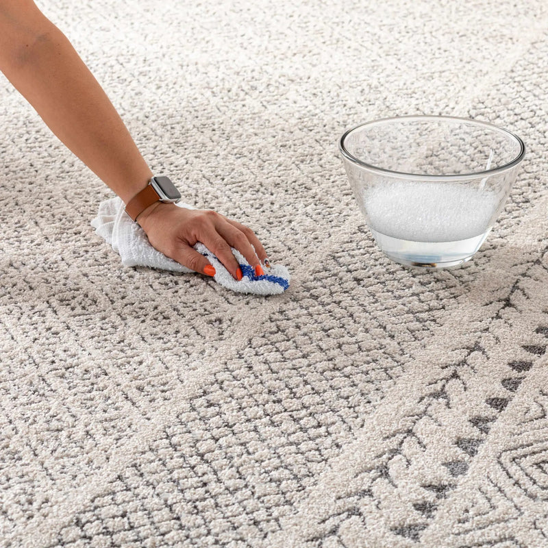 Burdette Soft Neutral Rug by Hauteloom