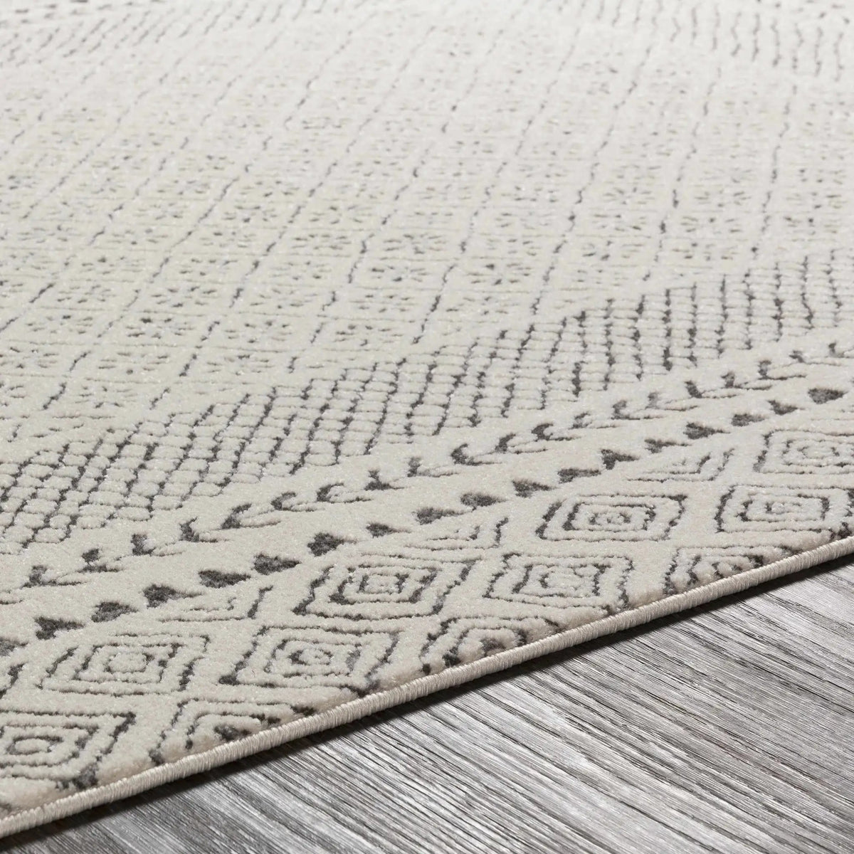 Burdette Soft Neutral Rug, photo 15 of 29