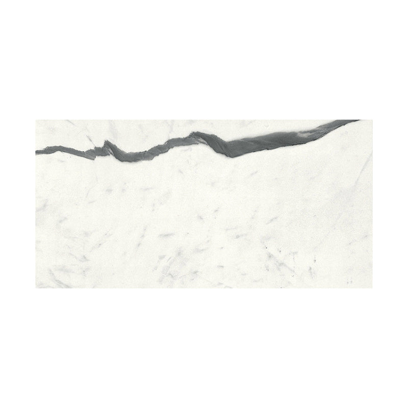 Bianco S Matte Marble Look Porcelain Tiles 12x24 Porcelain Matte 12x24 Tiles