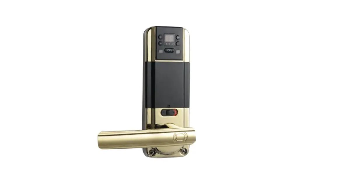 BIOLOCK 333 Biometric Fingerprint Entry Lever Door Lock by Outdoor Solar Outlet