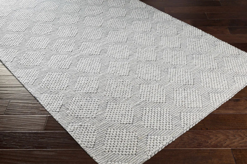 Bakersfield Area Rug - Clearance by Boutique Rugs