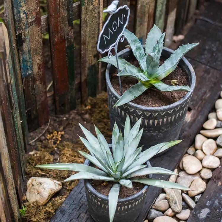 Black Pottery Cement Planter by RusticReach