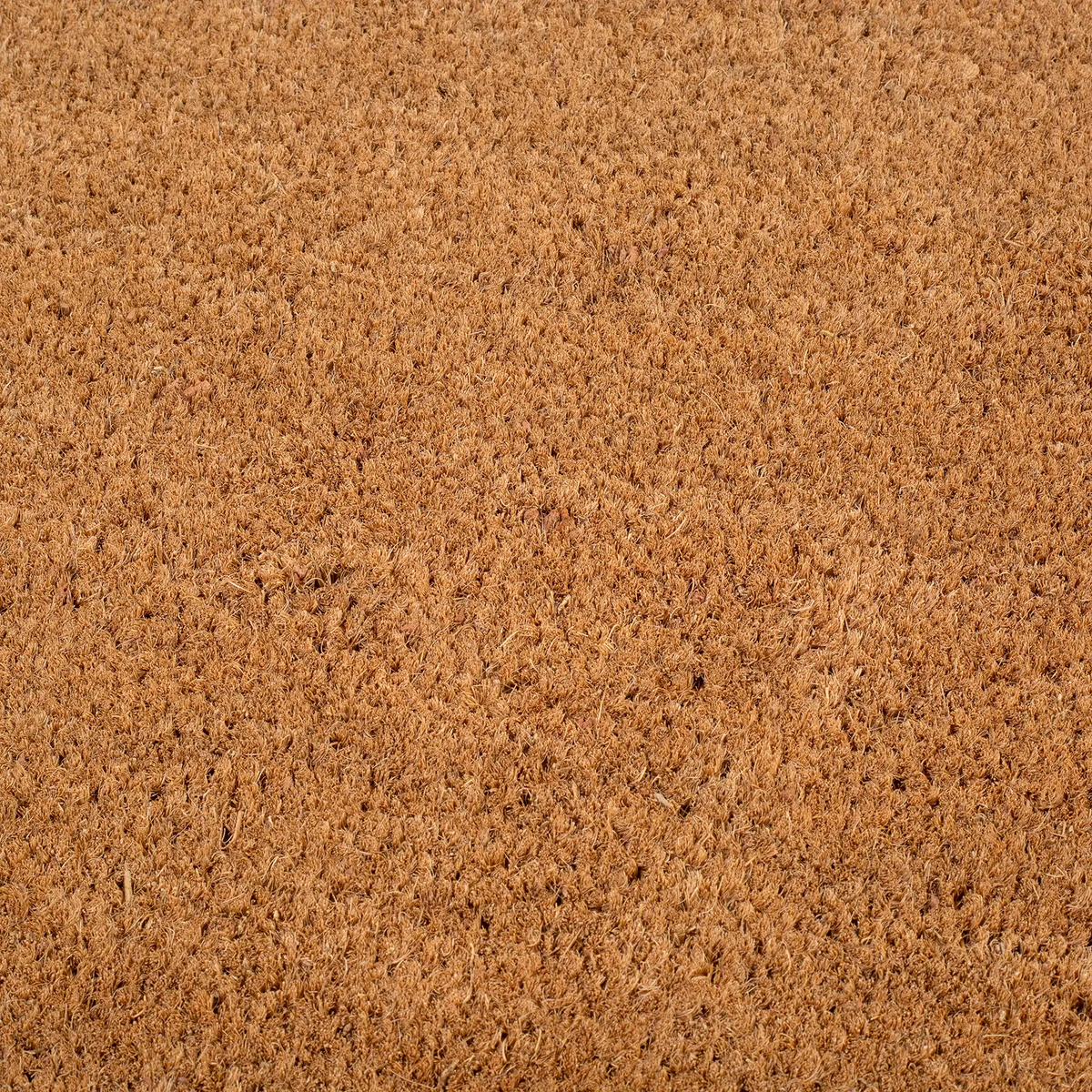 Black Border Coir Doormat, photo 17 of 24