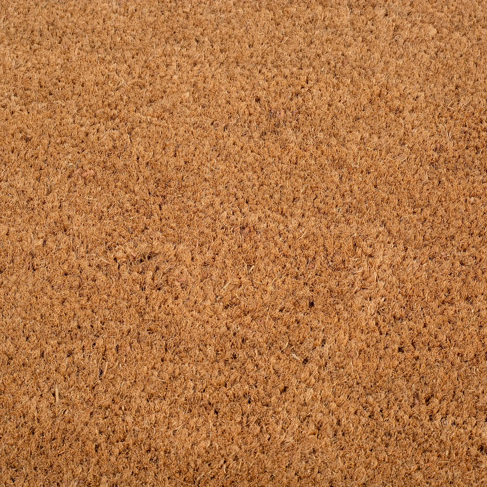 Black Border Coir Doormat by Fab Habitat