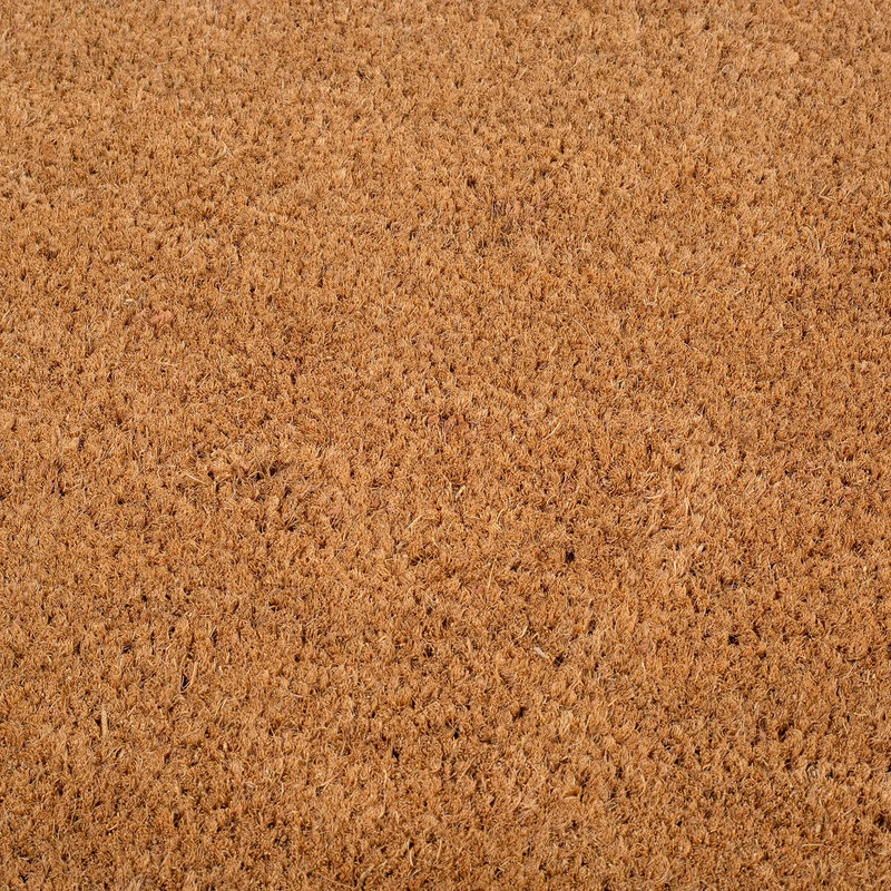 Black Border Coir Doormat by Fab Habitat
