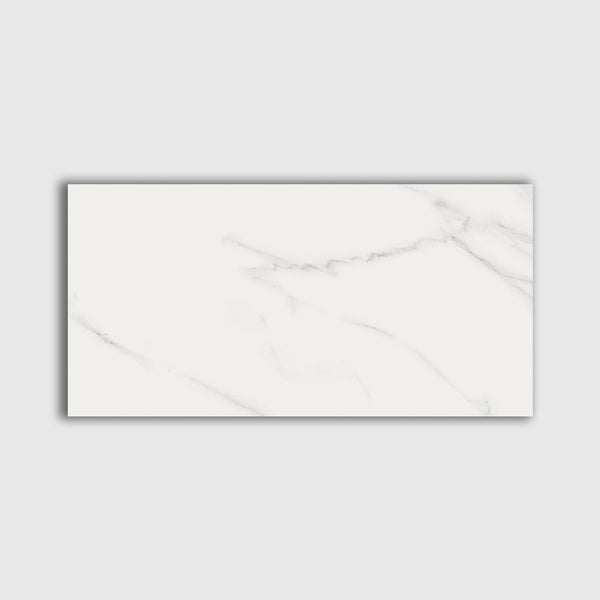 Blanco Honed Marble Look Porcelain Tiles 12x24