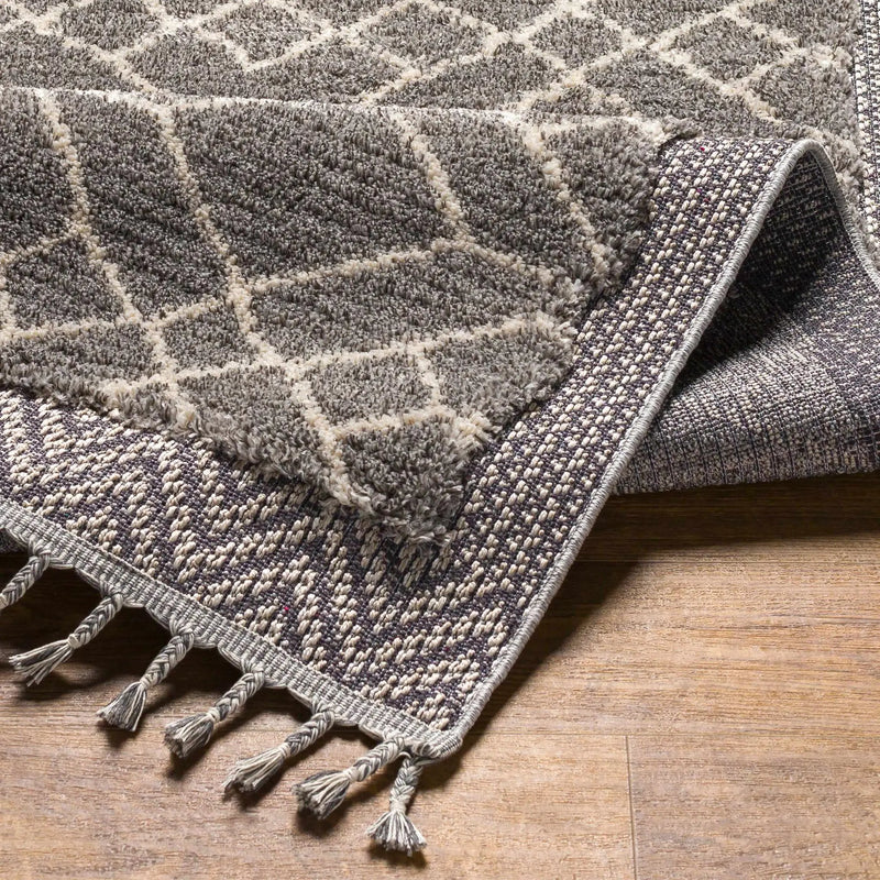 Ballybunnion Area Rug - Clearance by Boutique Rugs
