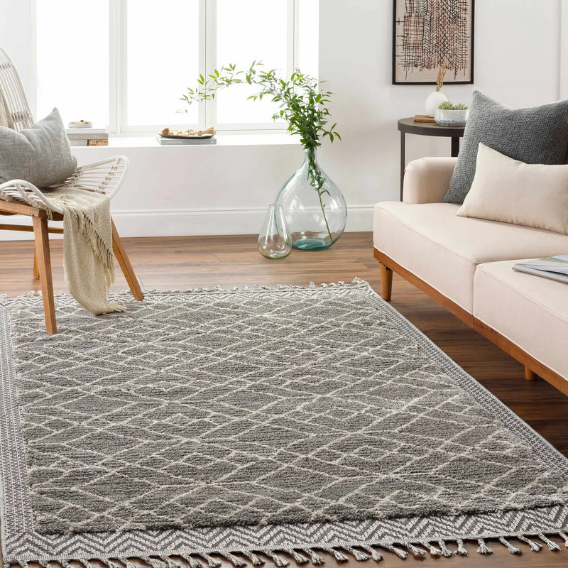 Ballybunnion Area Rug - Clearance by Boutique Rugs