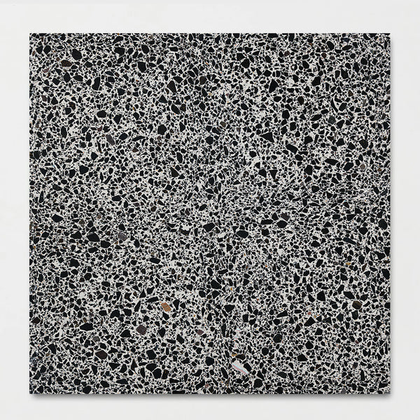 Bold Honed Terrazzo Tiles 15 3/4x15 3/4
