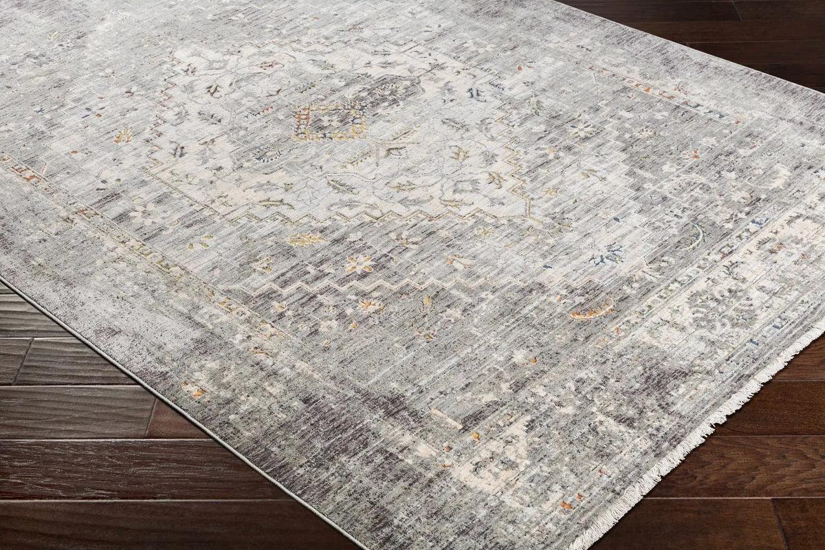 Boli Distressed Statement Rug, photo 8 of 12