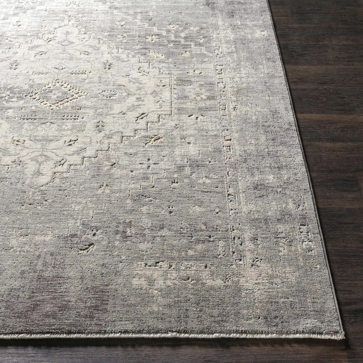 Boli Distressed Statement Rug, photo 12 of 12