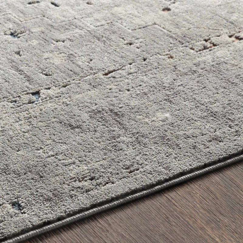 Boli Distressed Statement Rug by Boutique Rugs