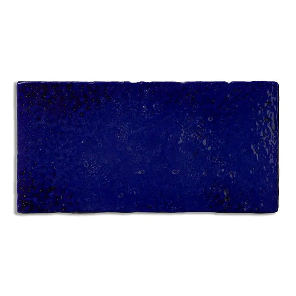 Bowery Glossy Glazed Terracotta Tiles 4x8