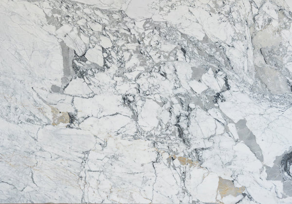Breccia Capraia Polished Marble Slab Random