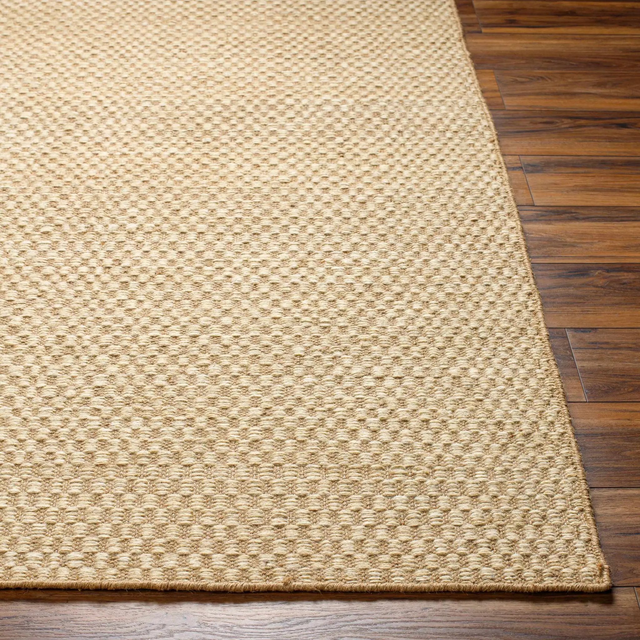 Ayers Beige Area Rug - Clearance by Boutique Rugs