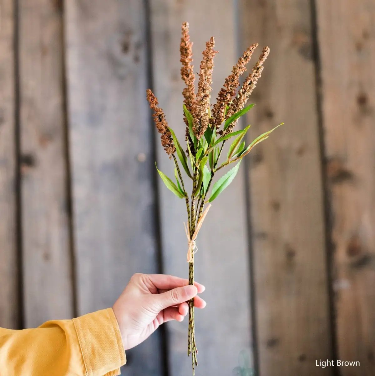 Buddleja Butterfly Bush Bundle 18" Tall by RusticReach
