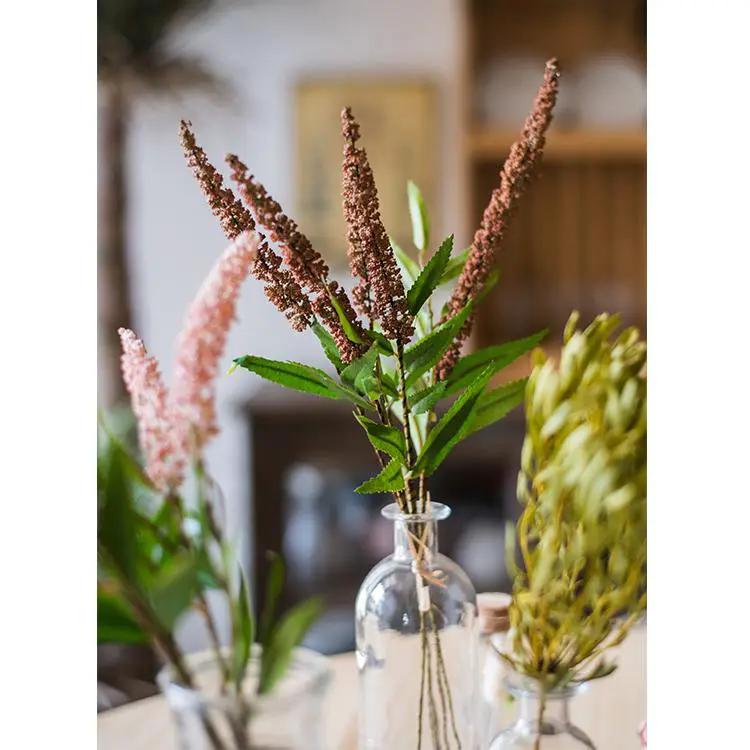 Buddleja Butterfly Bush Bundle 18" Tall by RusticReach