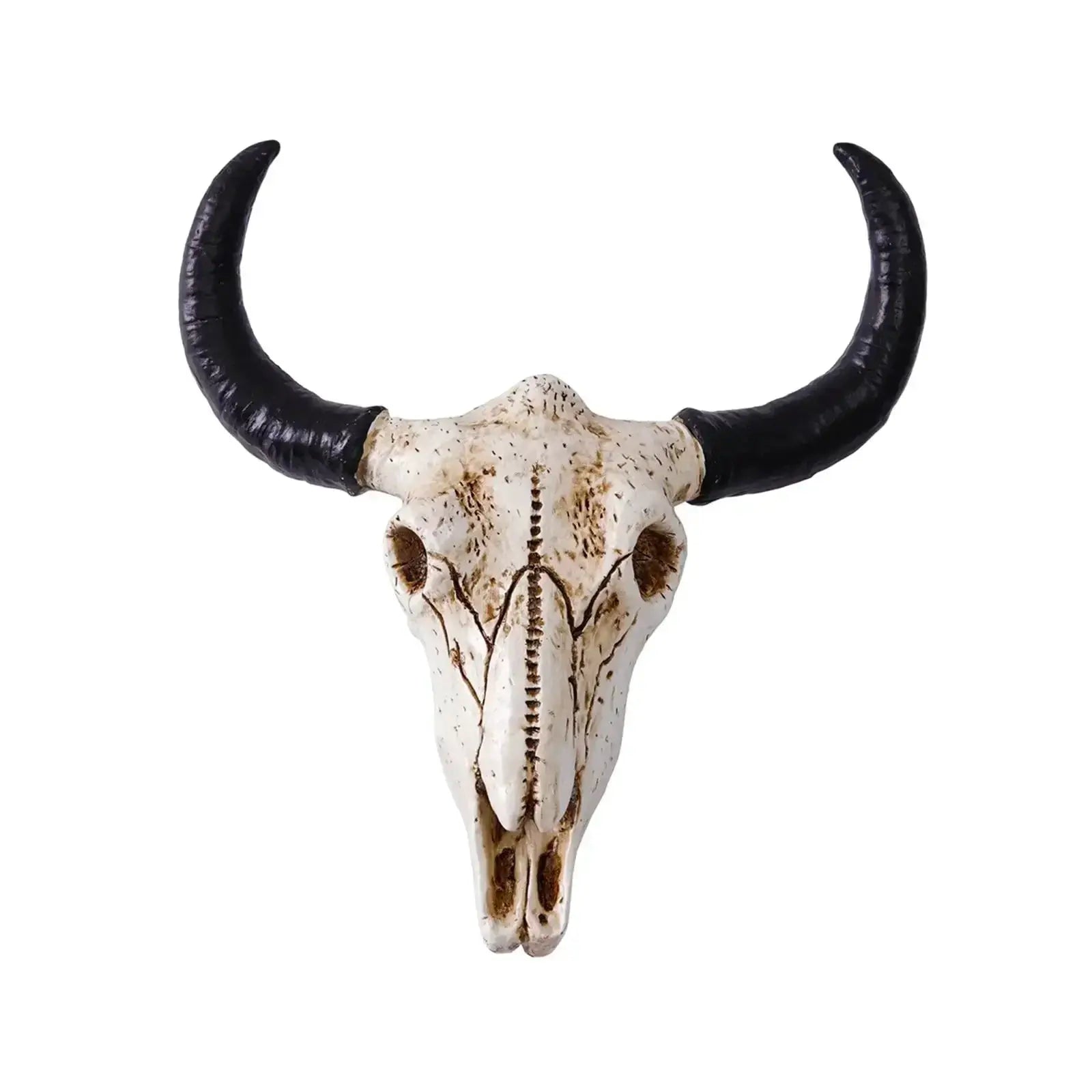 Bull Head Sculpture Home Owners Dull Wall Solution by House Of Avana