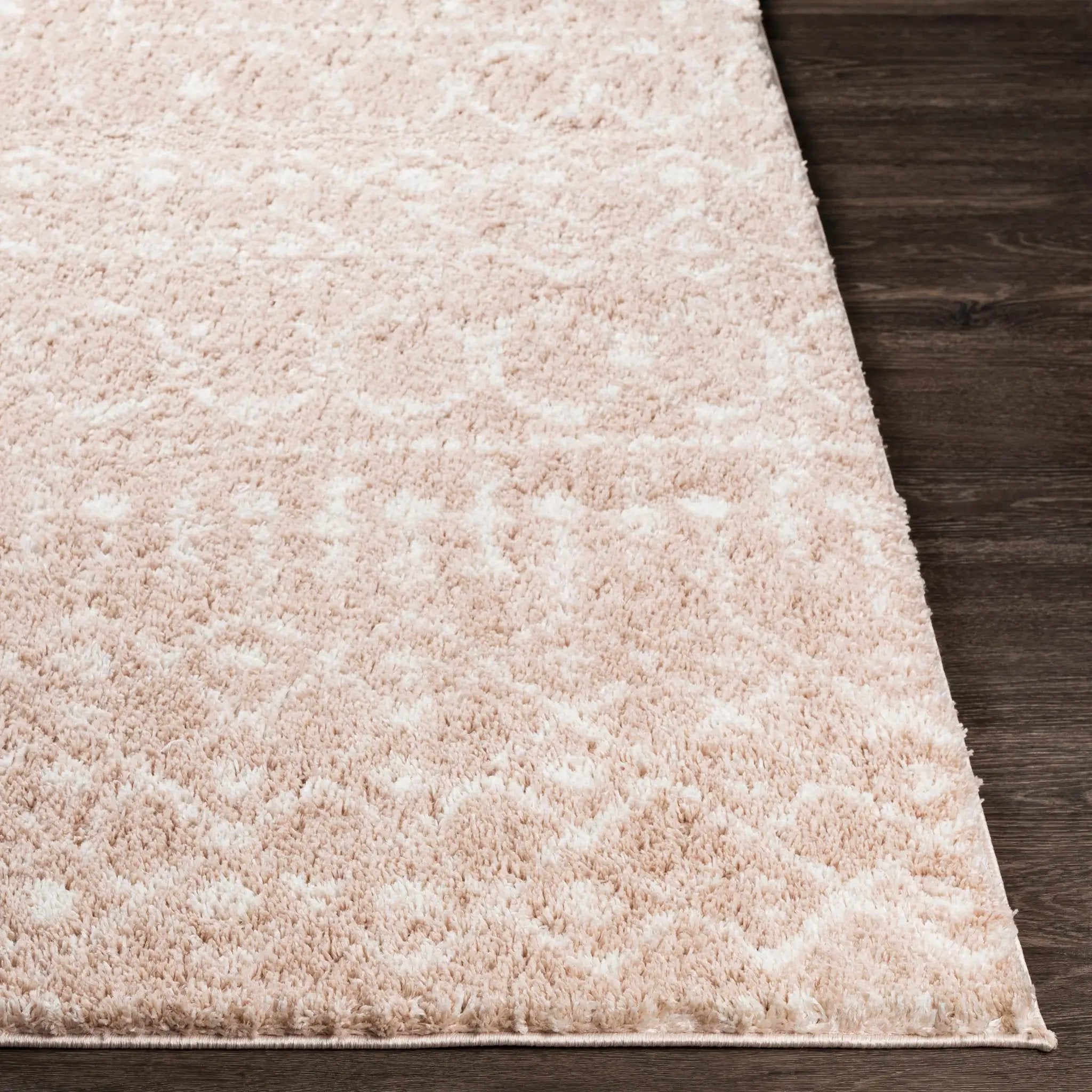 Blush Plush Area Rug by Boutique Rugs