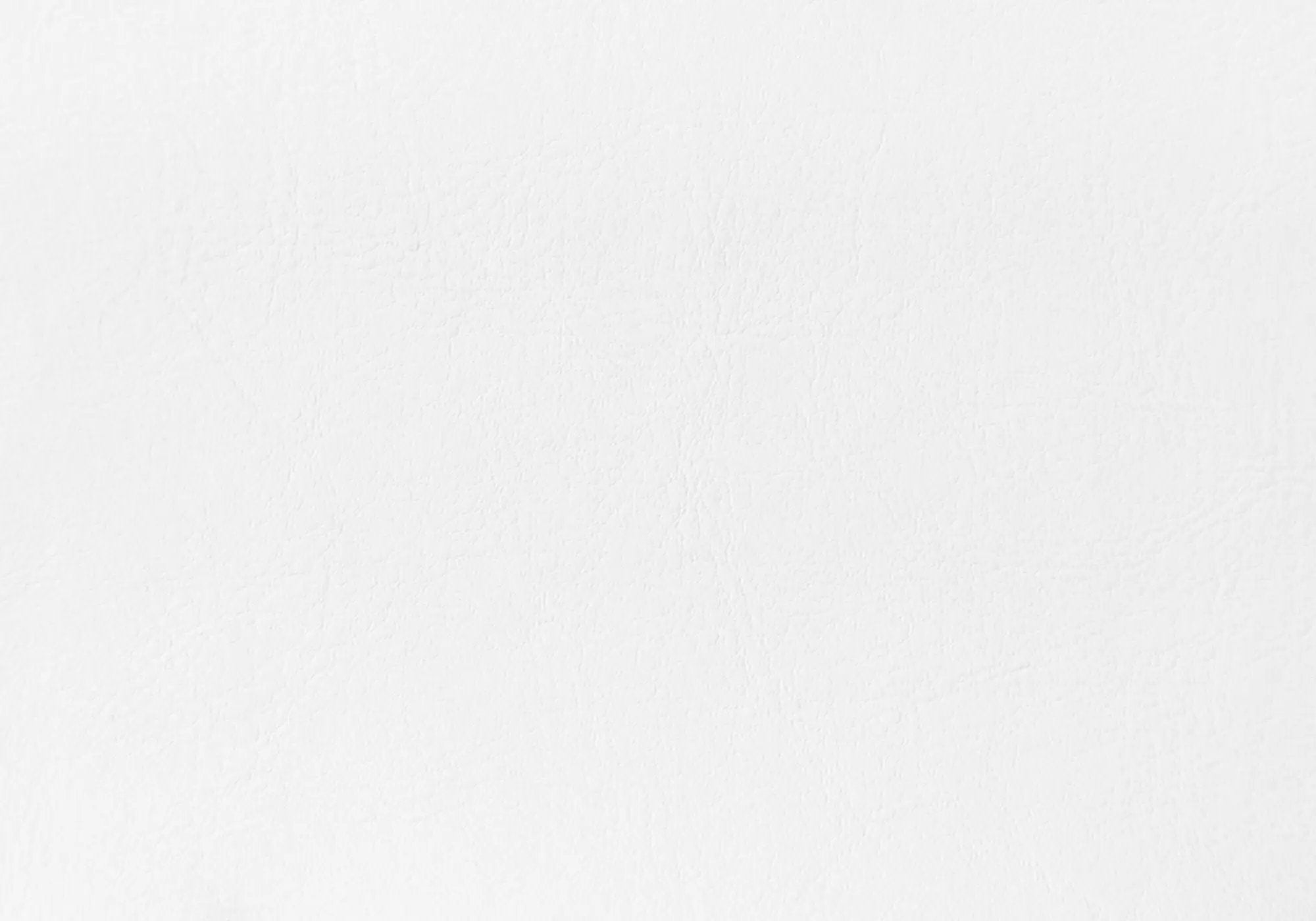 Queen Size Upholstered Bed Headboard - White, Transitional by HouseOfZazla