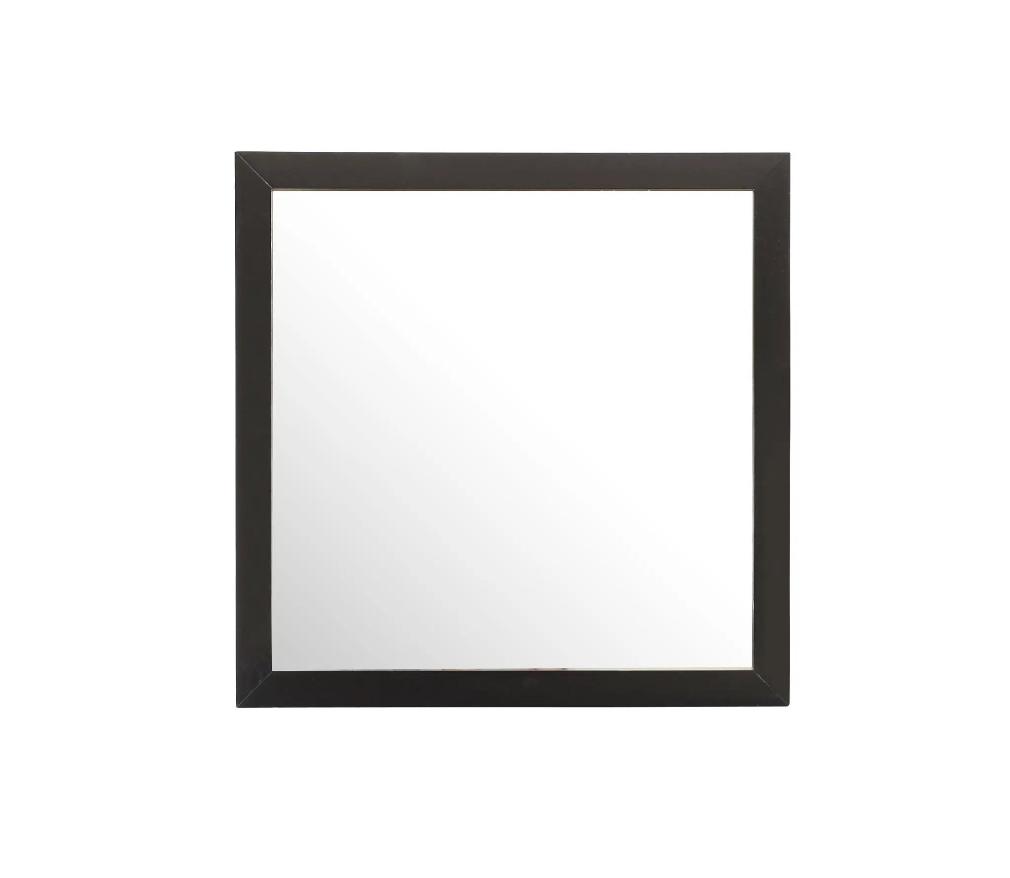 Burlington - Modern Design Transitional Wall Mirror by HouseOfZazla