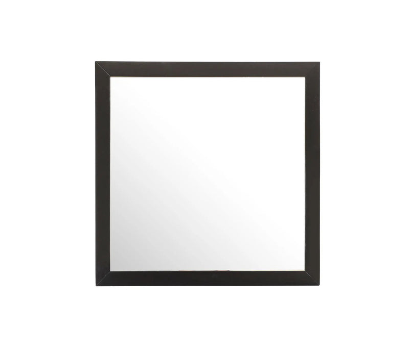 Burlington - Modern Design Transitional Wall Mirror by HouseOfZazla