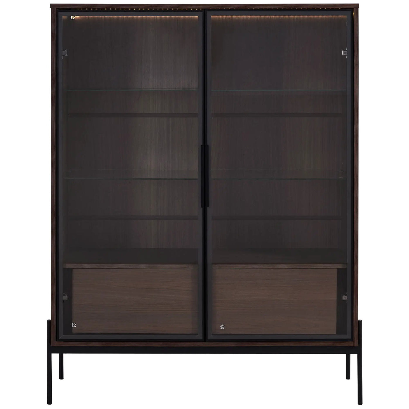Modern Minimalist Style LED Curio Cabinet With Tempered Glass Door, Metal Legs by HouseOfZazla
