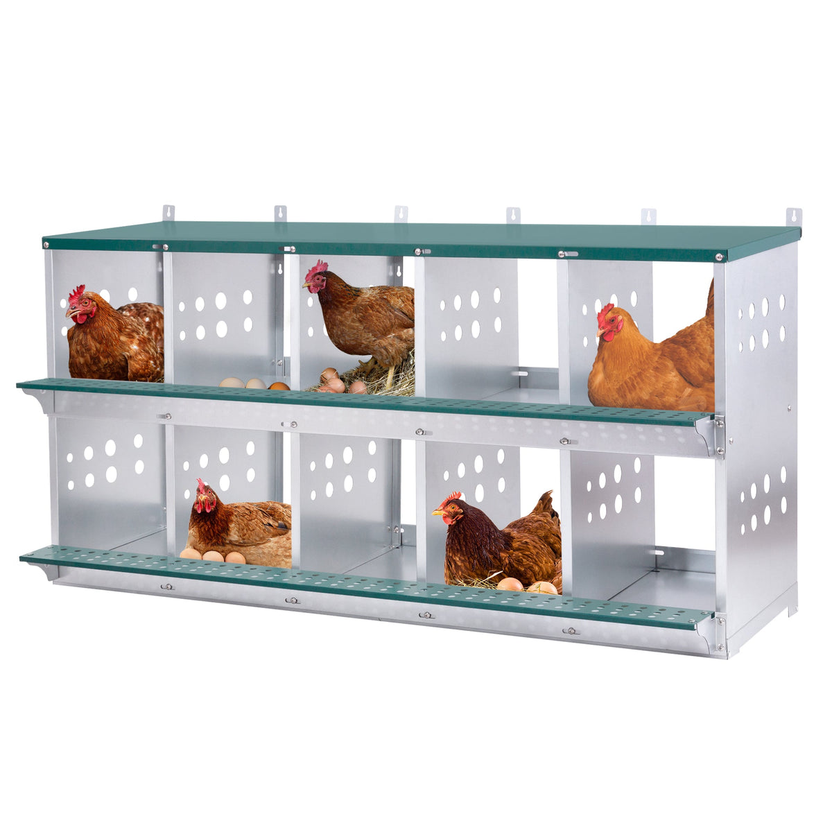10-Bay Metal Nest Box for Hens and Ducks