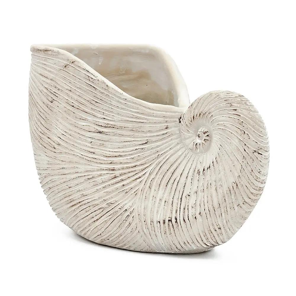 11.5x6.7x7.7" Sand and Cement Nautilus Shell Planter with Textured Beige Finish by HouseOfZazla