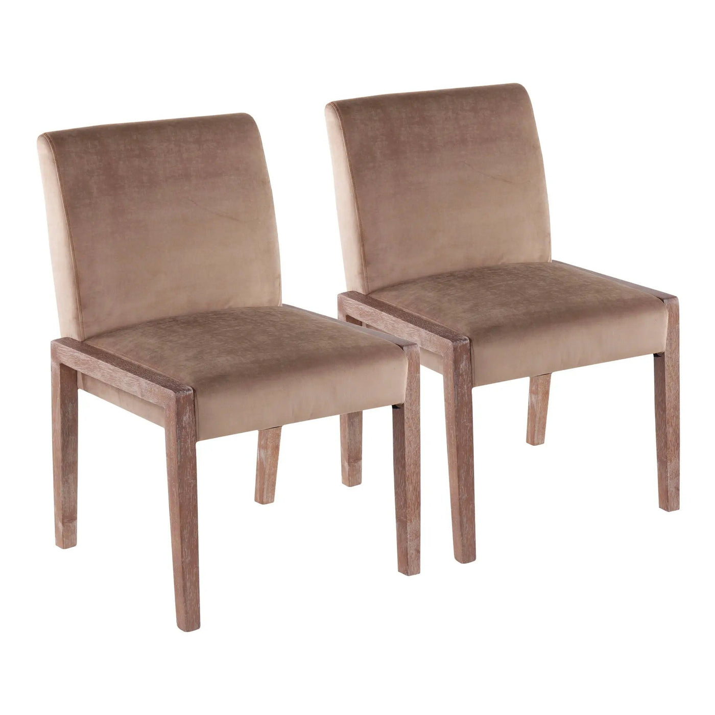 Carmen - Contemporary Chair (Set of 2) by HouseOfZazla
