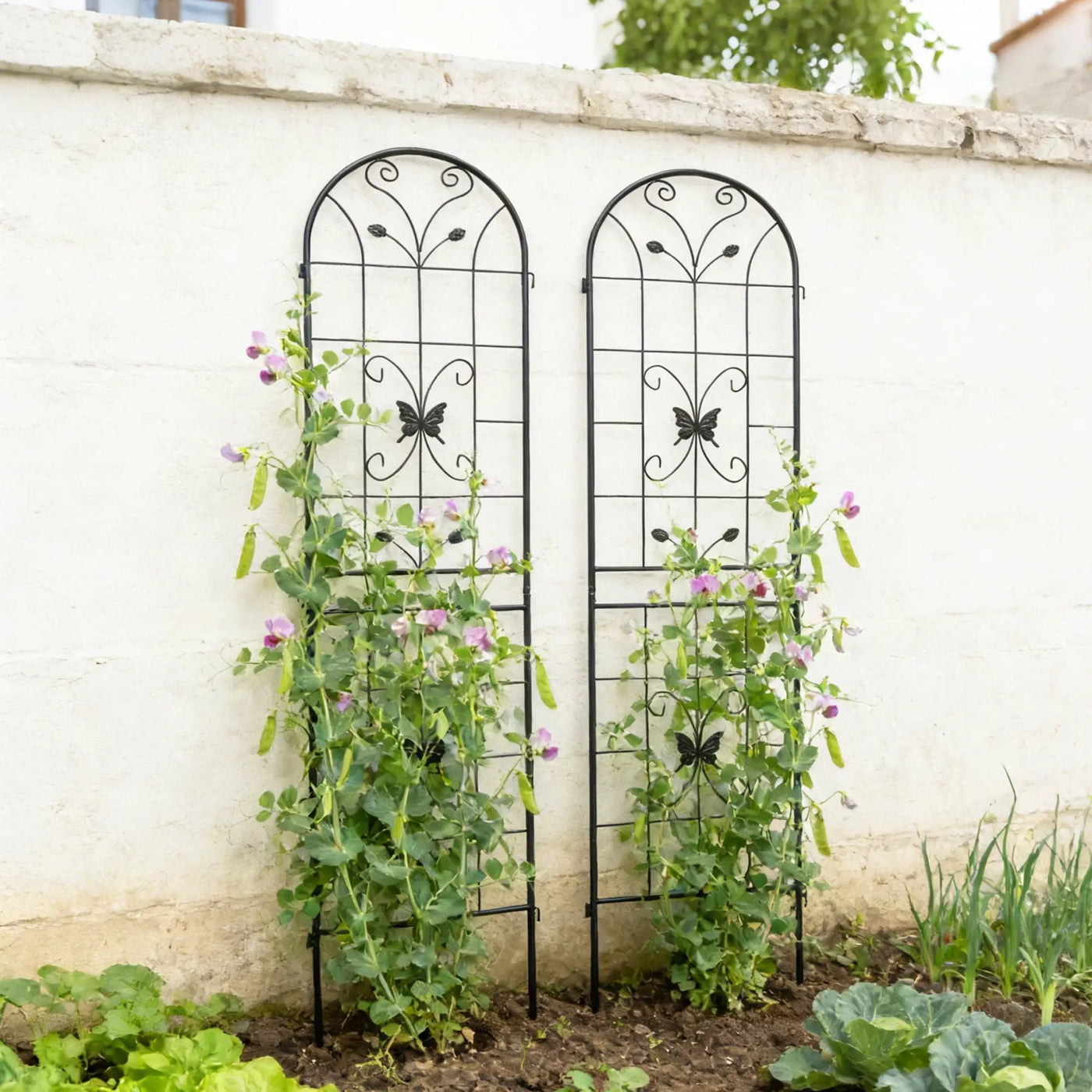 Garden Metal Trellis Rustproof Trellis For Climbing Plants Outdoor Flower Support by Unique Piece Furniture