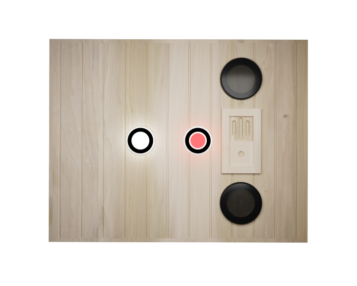 XY-909MB-R Far Infrared Sauna Room by HouseOfZazla
