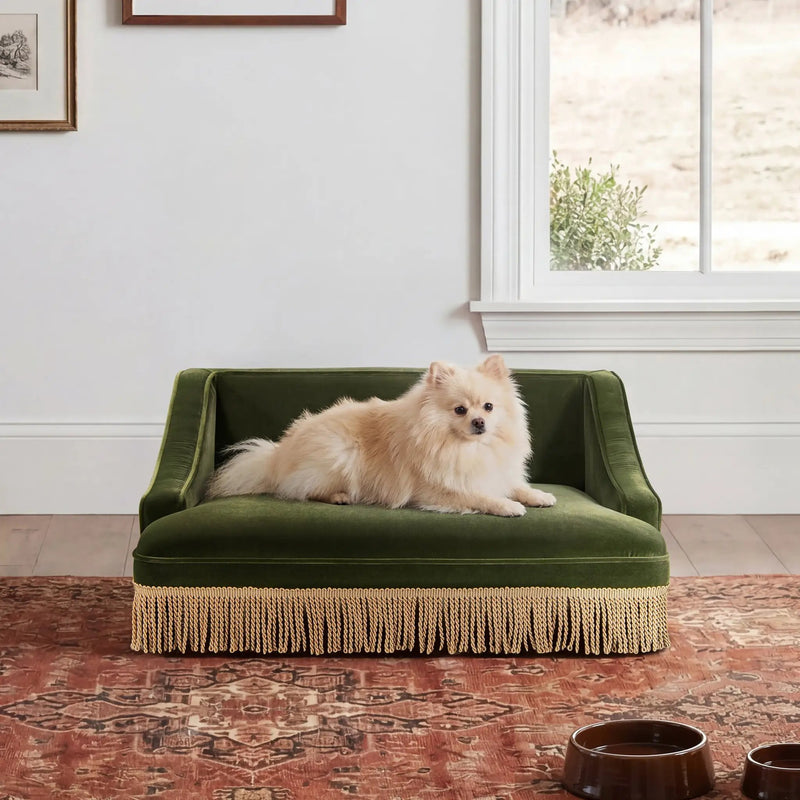Duchess 33' Medium Princess Pet Bed Sofa with Fringe Skirt, Olive Green Velvet by HouseOfZazla