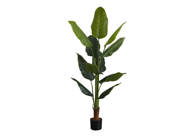 59" Tall, Artificial Plant, Strelitzia Tree, Indoor, Faux, Fake, Floor, Greenery, Potted, Real Touch, Decorative - Green / Black by Unique Piece Furniture