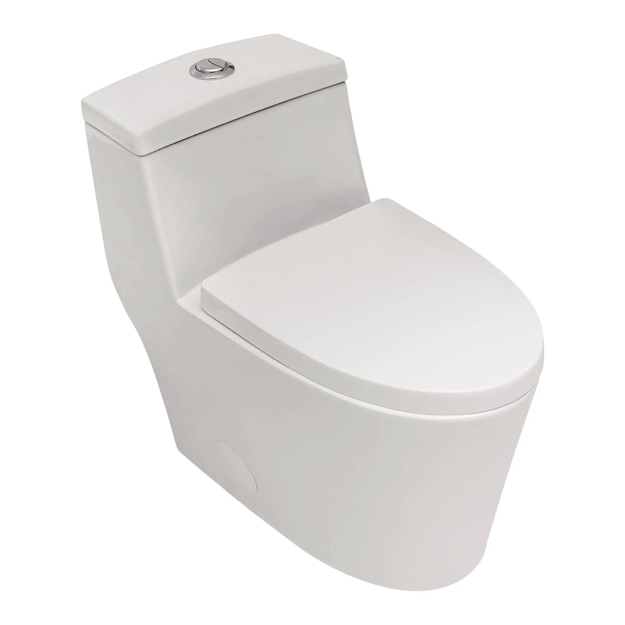 1 Piece Toilet, Dual Flush, Soft Closing Seat - White by HouseOfZazla