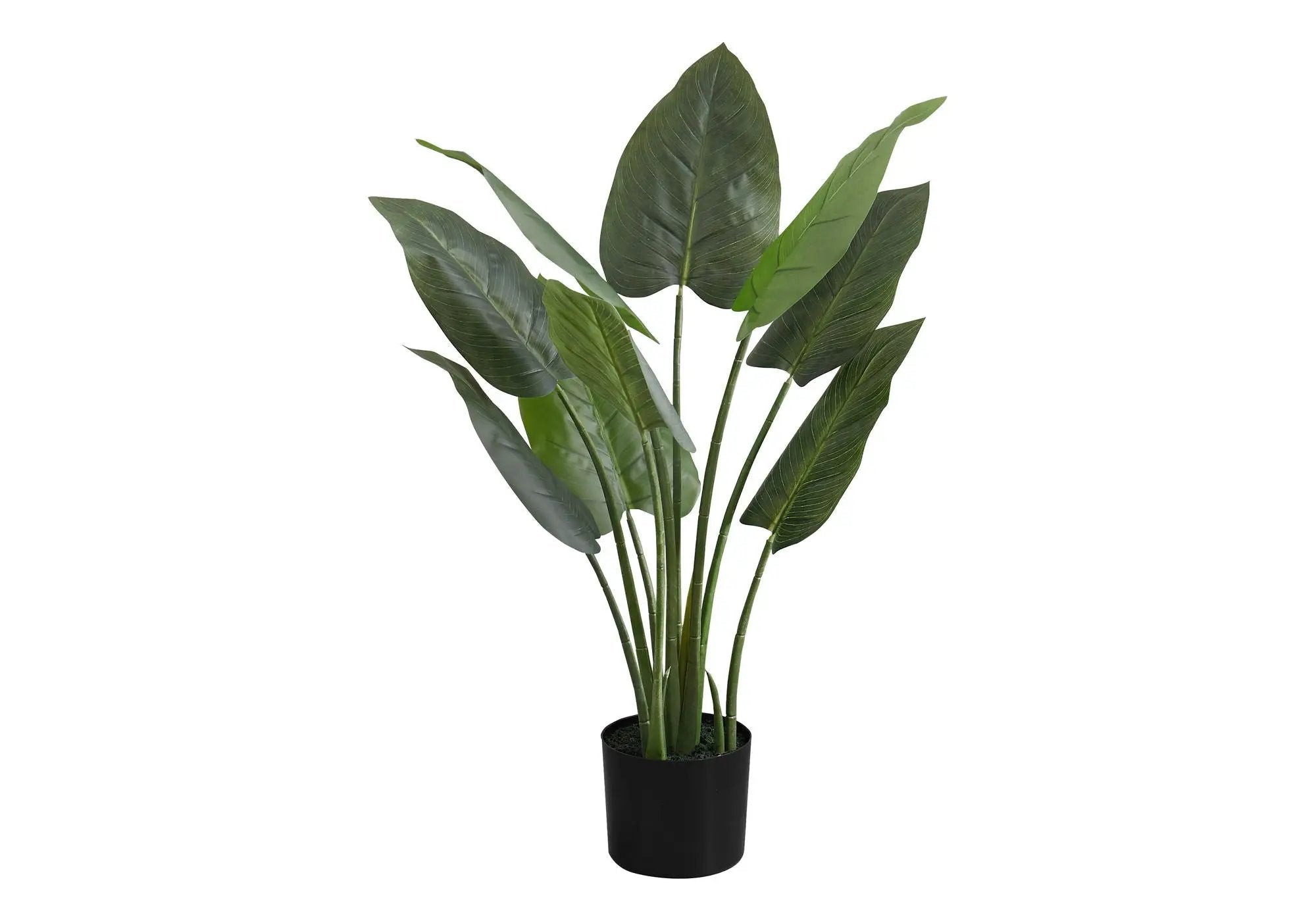 37" Tall, Artificial Plant, Aureum Tree, Indoor, Faux, Fake, Floor, Greenery, Potted, Real Touch, Decorative - Green / Black by Unique Piece Furniture