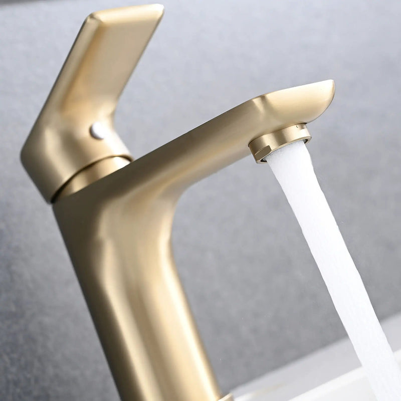 Modern Bathroom Sink Faucet Single Handle Brass Countertop Mount by HouseOfZazla