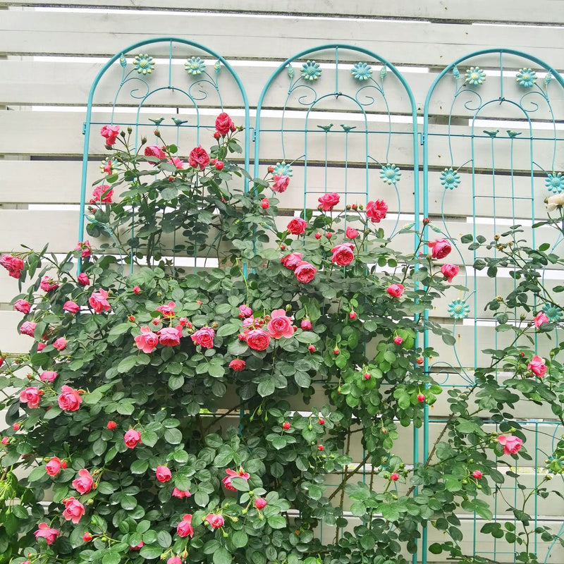 Metal Garden Trellis Rustproof Trellis For Climbing Plant Outdoor Flower Support by HouseOfZazla