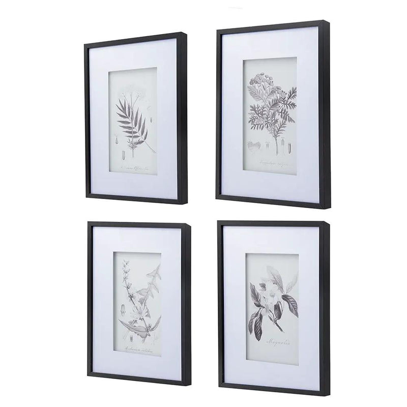 Botanical Wall Art Prints, Home Decor For Living Room Dining Room, Bedroom, Hallway (Set of 4) - White / Black by Unique Piece Furniture