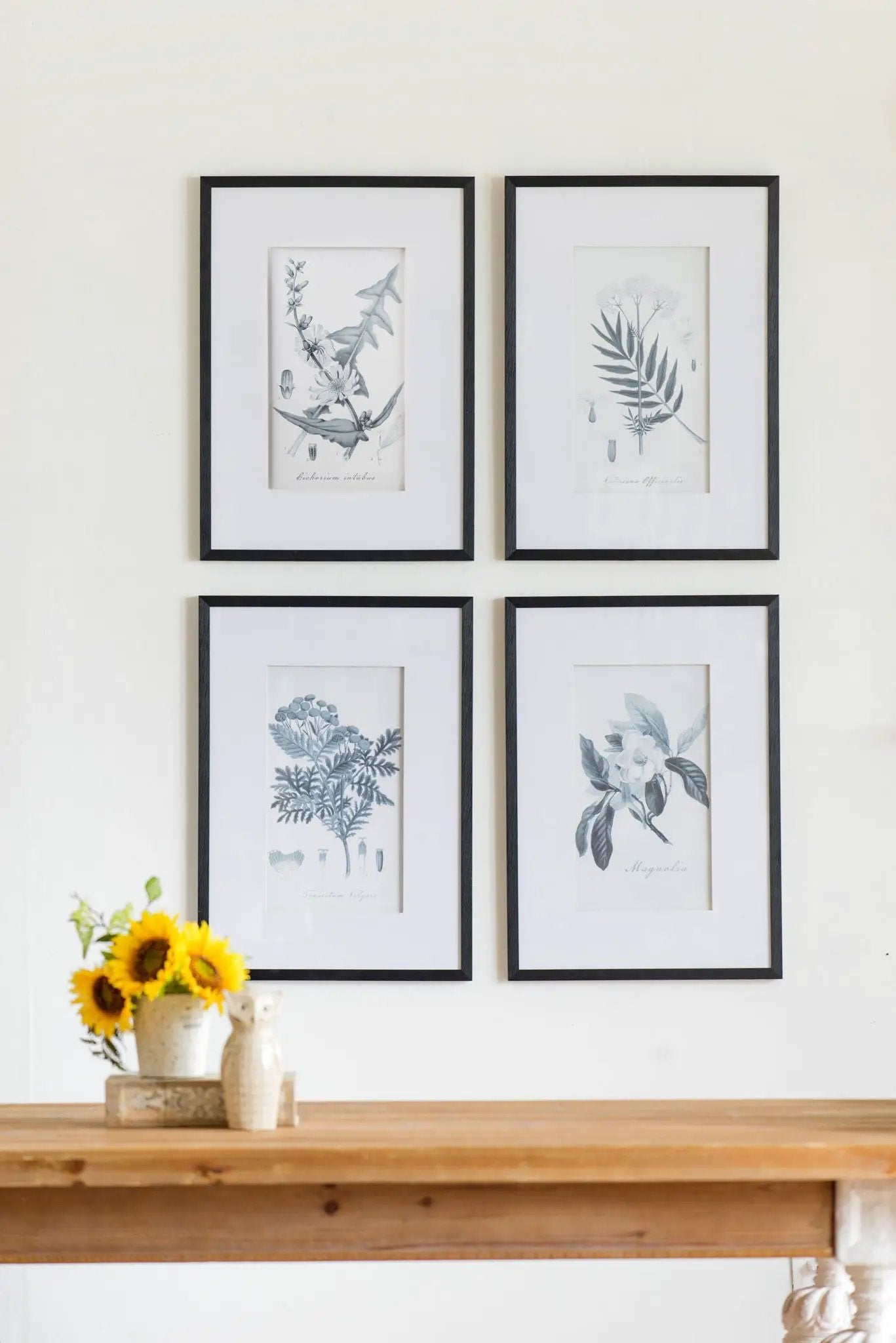Botanical Wall Art Prints, Home Decor For Living Room Dining Room, Bedroom, Hallway (Set of 4) - White / Black by Unique Piece Furniture