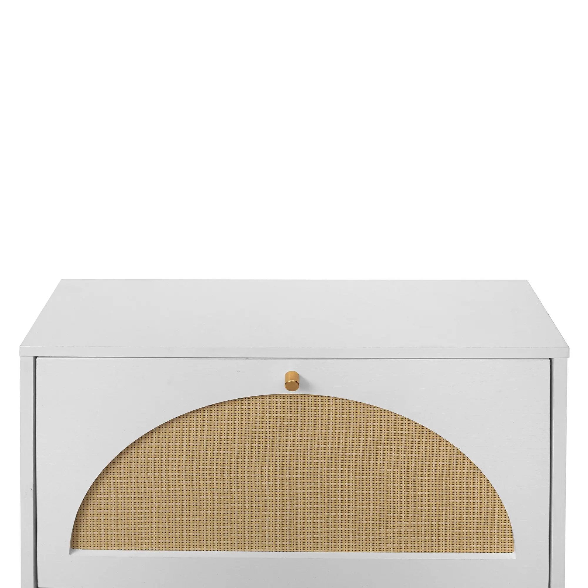 2 Door Shoe Rack, Rattan, Double Layer, Suitable For Living Room, Hallway - White by HouseOfZazla